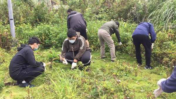 園生系學生協助中山新村鋤草(一)圖片