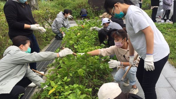 園生系學生協助中山新村鋤草(二)圖片