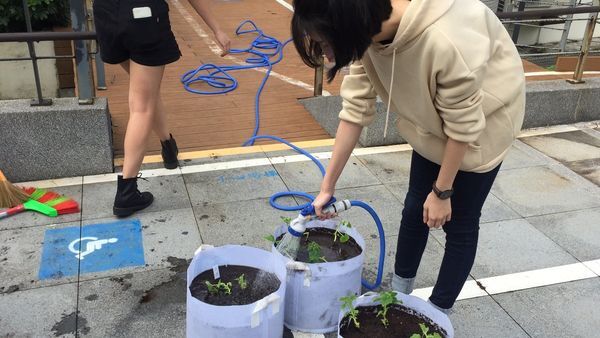 學生將定植完的植袋進行澆水圖片